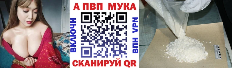A PVP СК  Лесосибирск 