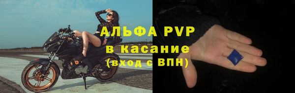 ПСИЛОЦИБИНОВЫЕ ГРИБЫ Баксан