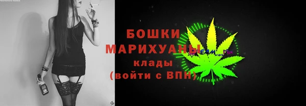 ПСИЛОЦИБИНОВЫЕ ГРИБЫ Баксан